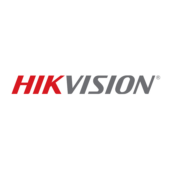 HIKVISION/海康威视 200万CMOS防爆筒型网络摄像机 DS-2XE6025FWD-I 镜头焦距4mm 1台