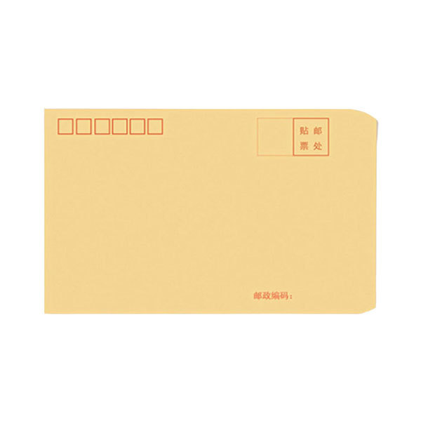 DILE/递乐 1号牛皮纸信封 4601 100g木浆纸 100个 1包