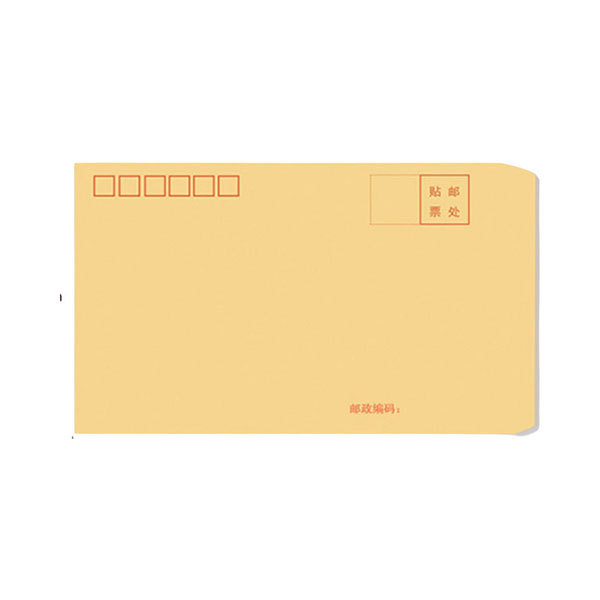 DILE/递乐 2号牛皮纸信封 4602 100g木浆纸 100个 1包