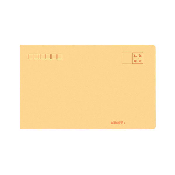 DILE/递乐 9号牛皮纸信封 4609 100g木浆纸 100个 1包