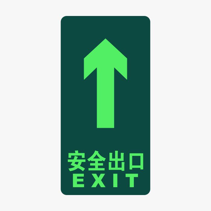QXSIGN/标识牌专家 消防及应急标识自发光疏散标识安全出口 QSB011 150×300mm 高清防水防尘防晒 无需接电源吸光半小时 可持续发光6小时 1张