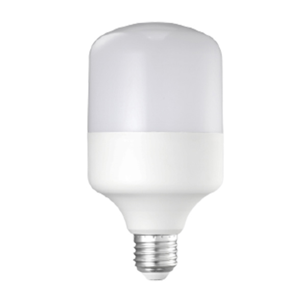 NVC/雷士 LED灯泡 A100E 30W-6500K AC220V E27 1个