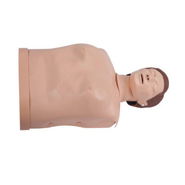 CROR/科洛 安全实训高级半身心肺复苏模型人 KAR/CPR190 男模特 1台