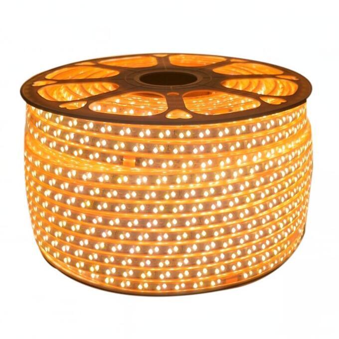 GERUIJIE/格瑞捷 LED彩灯带 2835 LED 黄 220V 1米