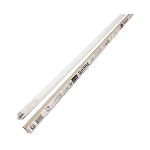 PHILIPS/飞利浦 T8灯管(飞东) TL-D 36W 54-765 1.2m 6500K 白光 单支定制包装 1支