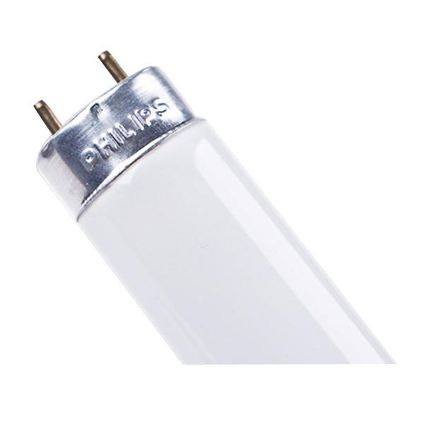 PHILIPS/飞利浦 T8飞东灯管 TL-D 58W 54-765 6500K 白光 1.5m 单支定制包装 1支