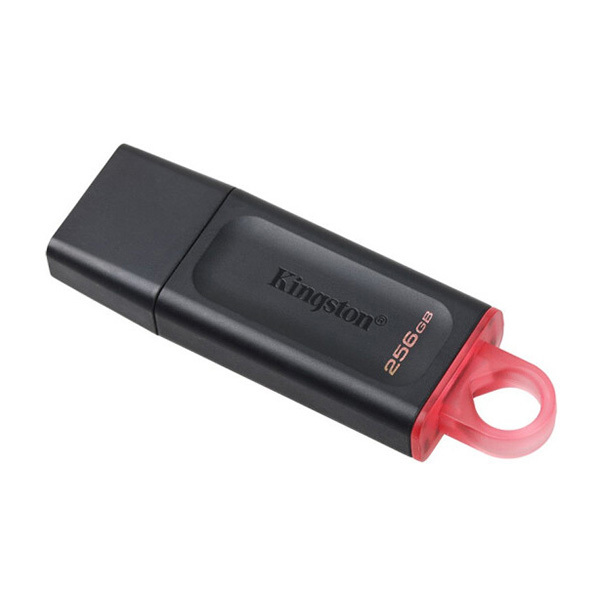 KINGSTON/金士顿 U盘 DTX/256GB USB3.2 1个