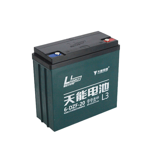CLEANLE/洁乐美 吸尘器配件-电瓶 配GS-4070吸尘器 12V 20AH 4块 1个