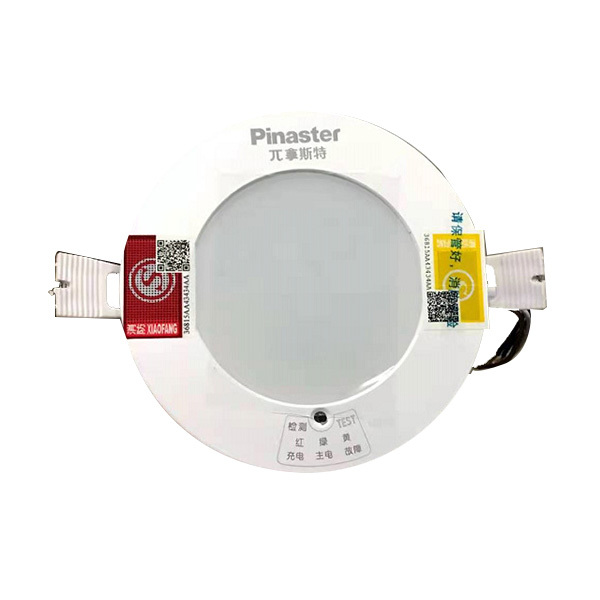 PINASTER/兀拿斯特 消防应急筒灯 M-ZLZD-E8W 1161 白光 1个