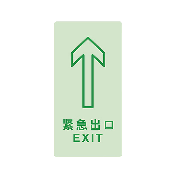 LEEONSTORE/利安斯盾 蓄光逃生疏散指引地贴引导标识(紧急出口) 2114001 150×300mm 高品质蓄光材料覆耐磨材料 1个