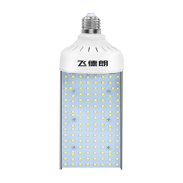 FEIDELANG/飞德朗 LED路灯光源 FDL-LDGY118-50W 118系列 1支