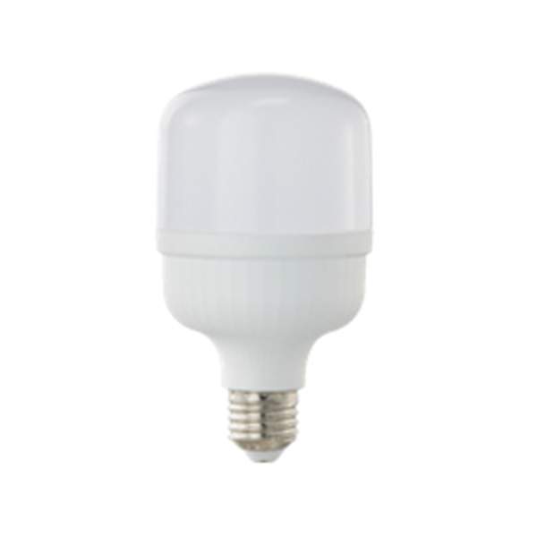 SXJG/三雄极光 恒亮LED灯泡 PAK-LED-OZXK-9WRP-65M 9W 6500K E27 柱形泡 乳白PC罩 1个