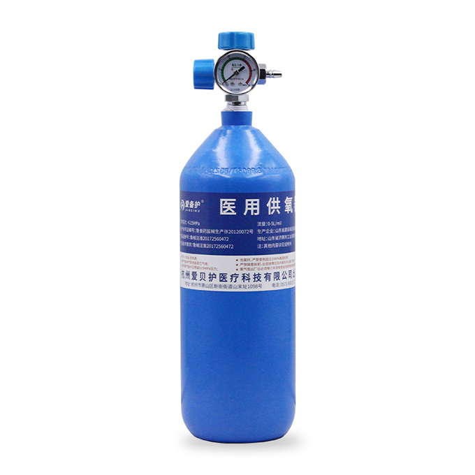 AIBEIHU/爱备护 医用供氧器 2L 1个 1套