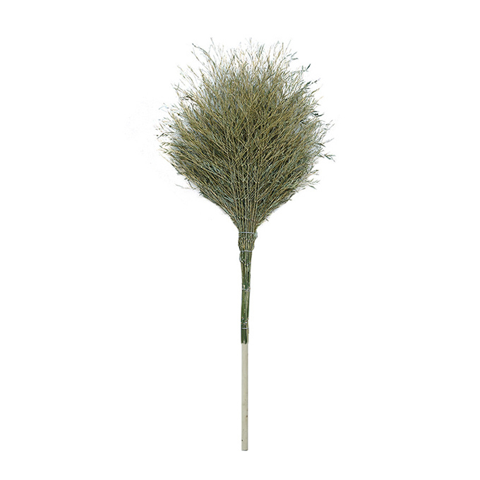 GANGMI/钢米 环卫大扫把 001 70×220cm 2kg 1把