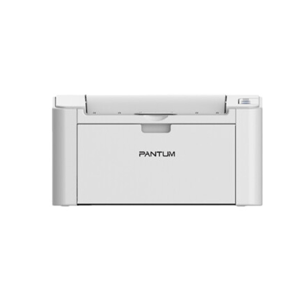PANTUM/奔图 A4黑白激光打印机 P2505N 适用PD-205 有线/USB 打印 1台