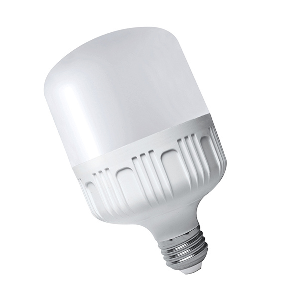 NAIPUDE/耐普德 LED低压交直流通用灯泡 AC/DC12-85V 高富帅20W E27 白光 1个