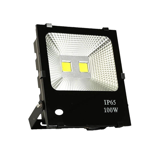 NAIPUDE/耐普德 LED金刚投光灯 100W 白光 1个
