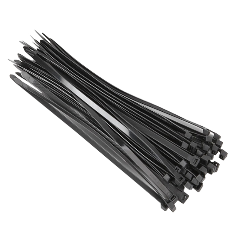 ECLT/埃克森特 自锁式尼龙扎带 E6NB425 A4×250 实际尺寸3.6×250mm 黑色 1包