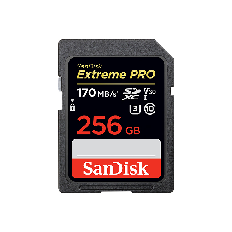 SANDISK/闪迪 储存卡 U3 C10 V30 256GB 170MB/s 1张