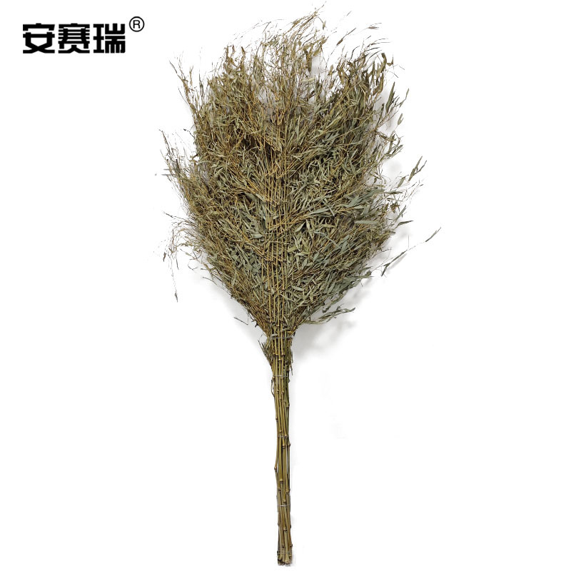 SAFEWARE/安赛瑞 竹扫把 710491 180×70cm 扇长100cm 1把