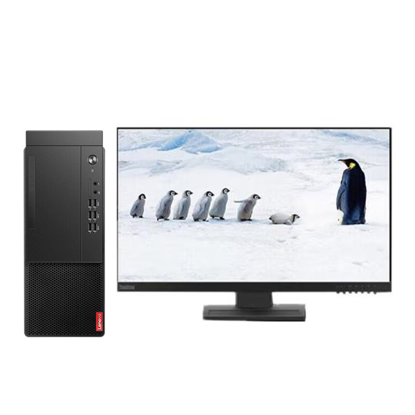LENOVO/联想 台式电脑 启天M455 定制 i7-12700 (16GB) 1TB HDD+(256GB)SSD (RX550-4G)独显 无驱 Win11H 三年保修 有线键鼠套装 配联想ThinkVision E24-28升降旋转23.8"显示器×2 1套