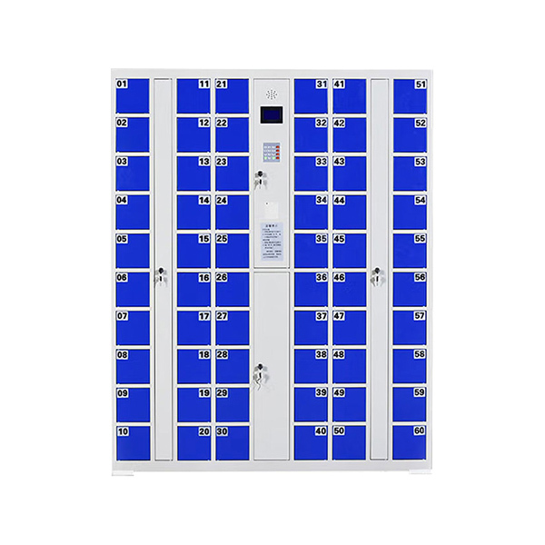 ZKH/震坤行 智能手机存放柜 MY-CDS-22 60门 尺寸1440×300×1800mm 1台