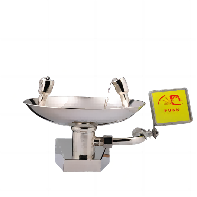 BOHUA/博化 304不锈钢壁挂洗眼器 0203-1012 入水口φDN15 1台