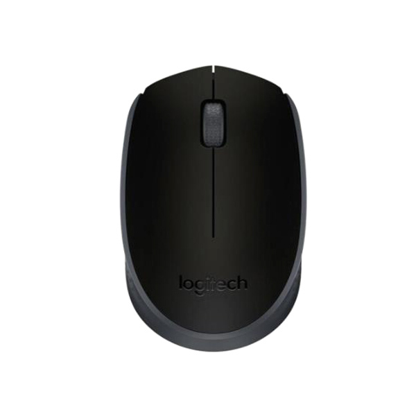 LOGITECH/罗技 无线鼠标 M171(M170) USB接口 带无线2.4G接收器 黑灰色 1个