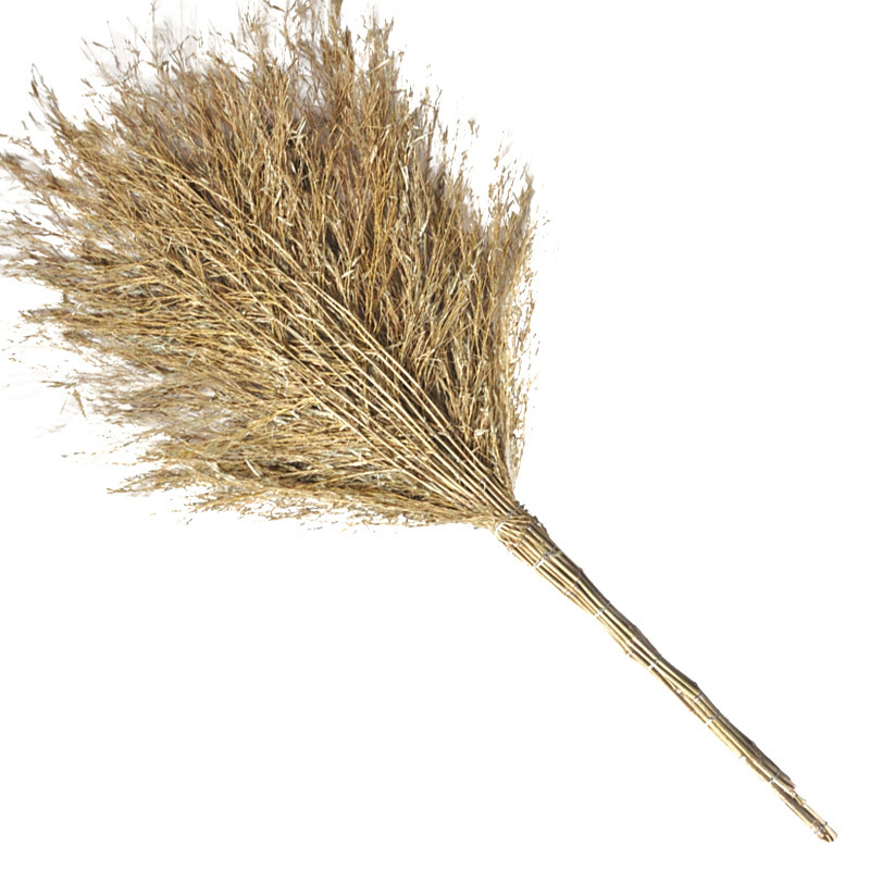 PINLEDI/品乐涤 环卫大竹扫帚 竹枝连体 1.75kg 1把