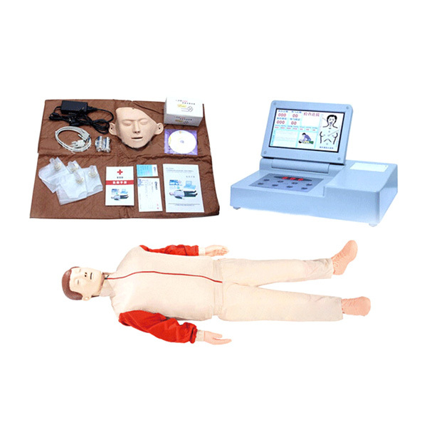 SAFEWARE/安赛瑞 液晶显示心肺复苏模拟人B款 20936 全身 168cm 1套