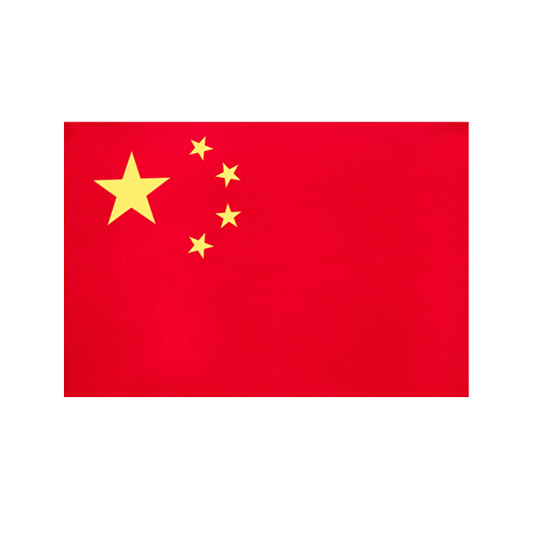 DELI/得力 3号国旗(面) 3223 1个
