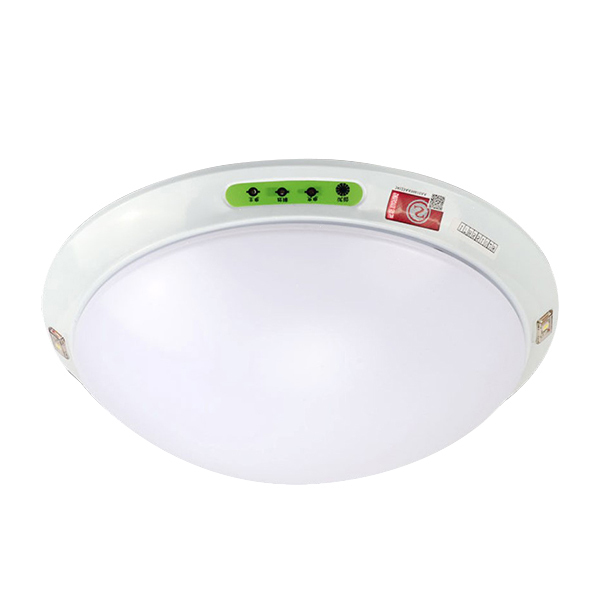 FSL/佛山照明 LED应急吸顶灯 F-ZFZD-E3W-G232 F627 主电功耗3W 1个