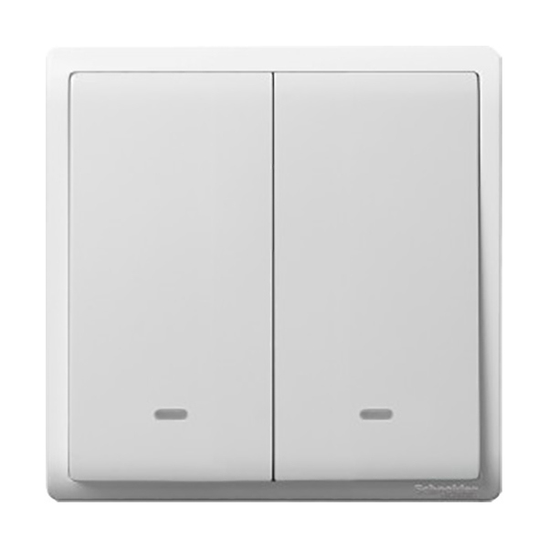 SCHNEIDER/施耐德电气 丰尚16AX 250V 带荧光指示双联双控开关(白色) E8232L2F 1个