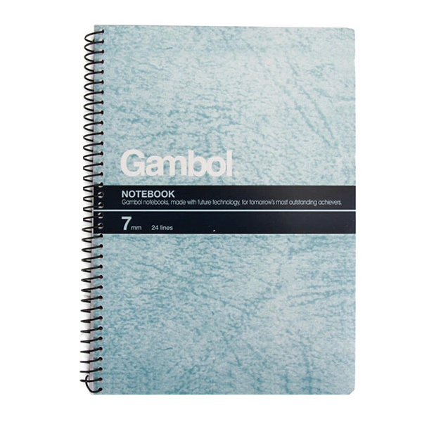 GAMBOL/渡边 线圈本 S5807 A5 80页×6本 颜色随机 1包